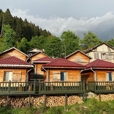 Pilita Bungalov&Rest Ayder Yaylasi Extérieur photo
