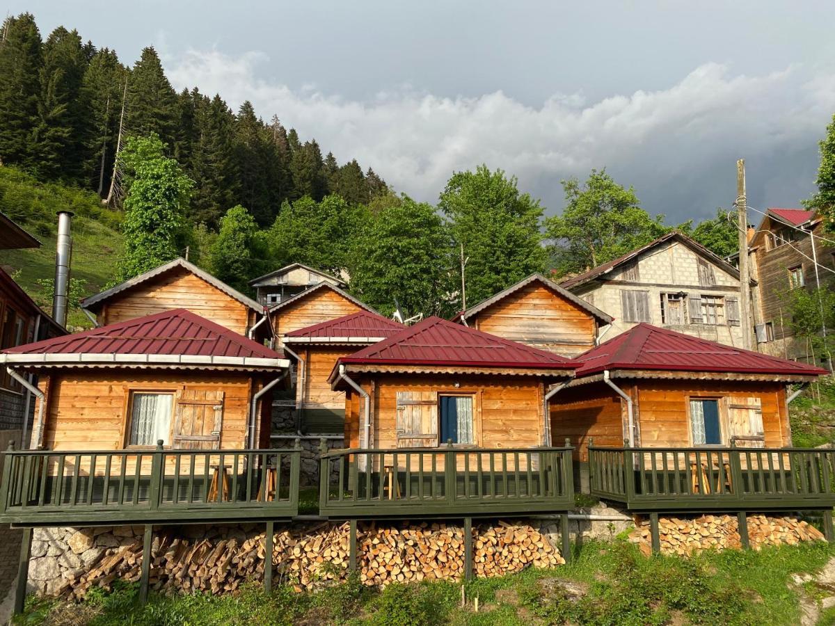 Pilita Bungalov&Rest Ayder Yaylasi Extérieur photo
